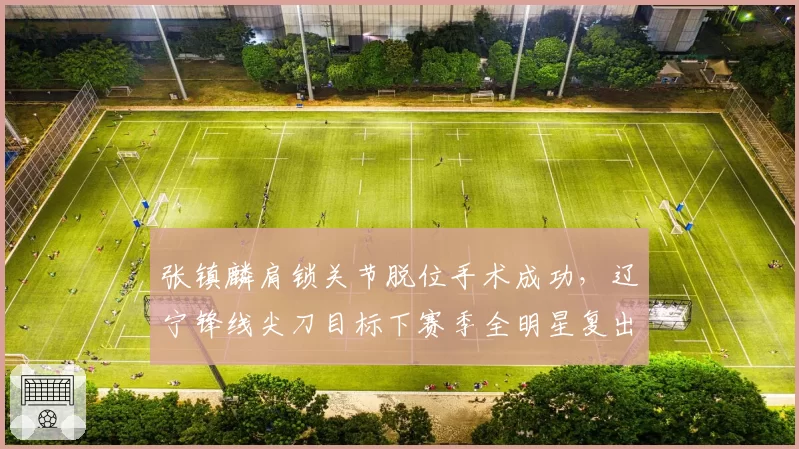 张镇麟肩锁关节脱位手术成功，辽宁锋线尖刀目标下赛季全明星复出