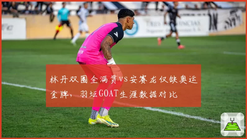 林丹双圈全满贯vs安赛龙仅缺奥运金牌,羽坛GOAT生涯数据对比
