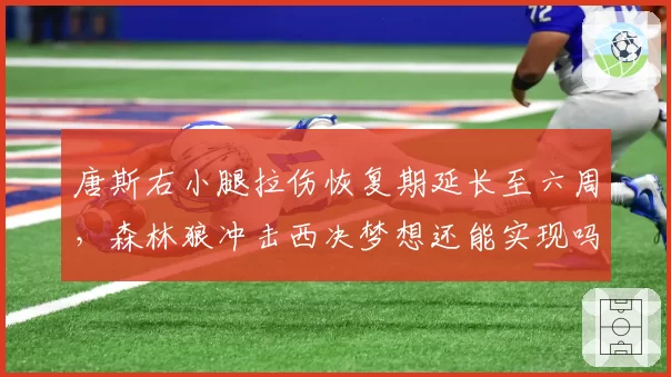 唐斯右小腿拉伤恢复期延长至六周,森林狼冲击西决梦想还能实现吗?