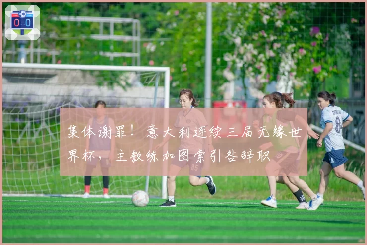 集体谢罪！意大利连续三届无缘世界杯，主教练加图索引咎辞职