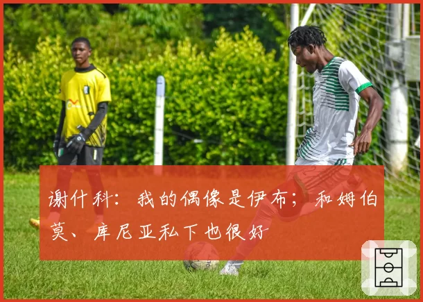 谢什科：我的偶像是伊布；和姆伯莫、库尼亚私下也很好