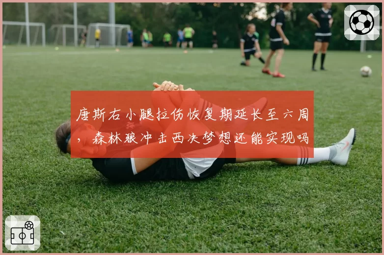 唐斯右小腿拉伤恢复期延长至六周,森林狼冲击西决梦想还能实现吗?