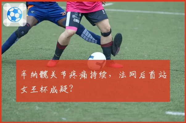 辛纳髋关节疼痛持续，法网后首站女王杯成疑？