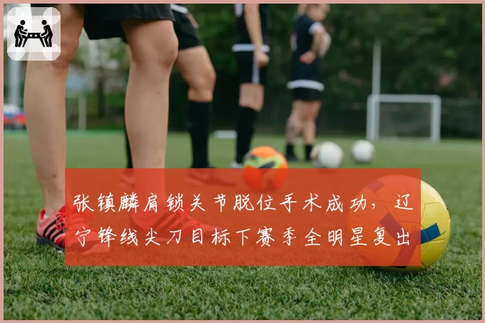张镇麟肩锁关节脱位手术成功，辽宁锋线尖刀目标下赛季全明星复出